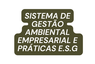 Sistema de gestão ambiental empresarial e práticas e S G