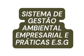 Sistema de gestão ambiental empresarial e práticas e S G